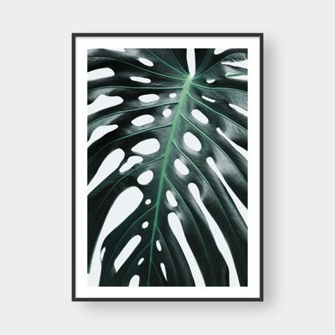  MONSTERA LEAF NO.1 