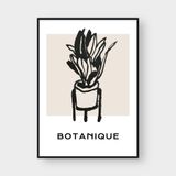  BOTANIQUE 