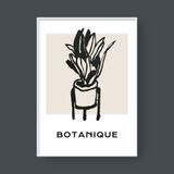  BOTANIQUE 