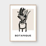  BOTANIQUE 
