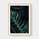  MONSTERA LEAF NO.4 