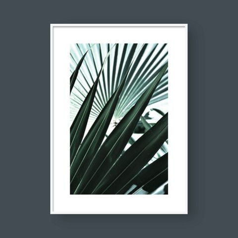  PALM LEAVES NO.1 