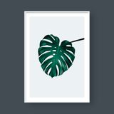  MONSTERA LEAF NO.2 