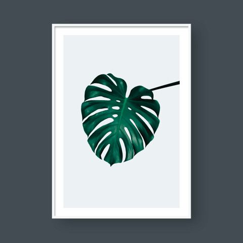  MONSTERA LEAF NO.2 