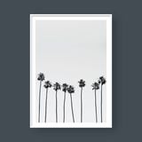  PALM TREES NO.2 