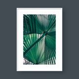  PALM LEAVES NO.2 