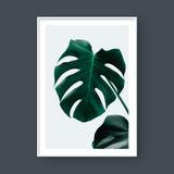  MONSTERA LEAF NO.3 