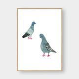  PIGEONS 