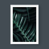  MONSTERA LEAF NO.4 