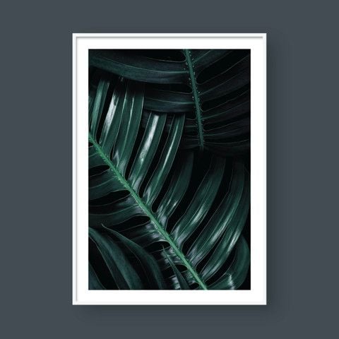  MONSTERA LEAF NO.4 