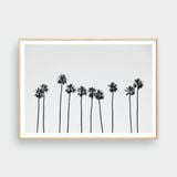  PALM TREES NO.1 
