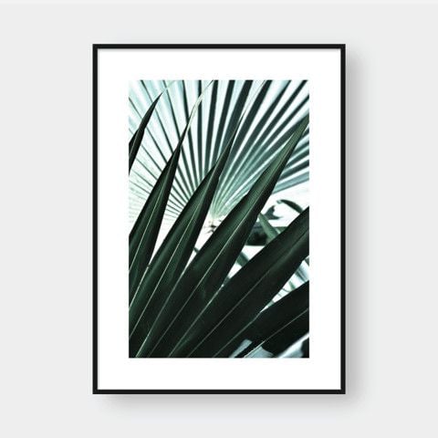  PALM LEAVES NO.1 