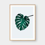  MONSTERA LEAF NO.2 