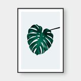  MONSTERA LEAF NO.2 