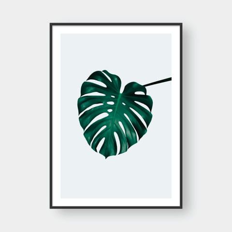  MONSTERA LEAF NO.2 