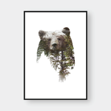  BEAR DOUBLE EXPOSURE 