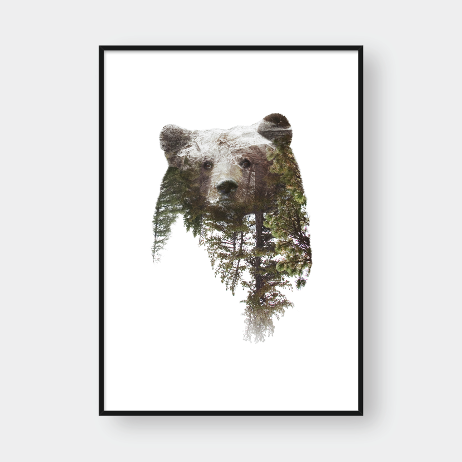  BEAR DOUBLE EXPOSURE 