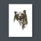  BEAR DOUBLE EXPOSURE 