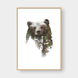  BEAR DOUBLE EXPOSURE 