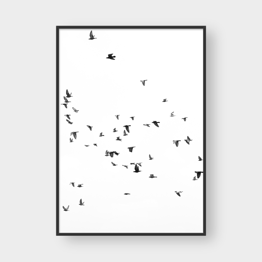  BIRD FLOCK 