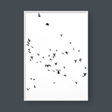  BIRD FLOCK 