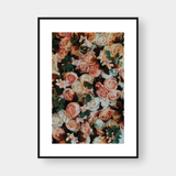  BLOSSOM NO.1 