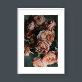  BLOSSOM NO.2 