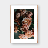  BLOSSOM NO.2 