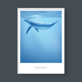  BLUE WHALE 