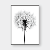  DANDELION NO.1 