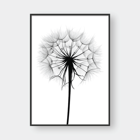  DANDELION NO.1 