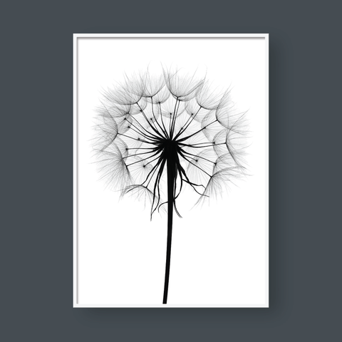  DANDELION NO.1 