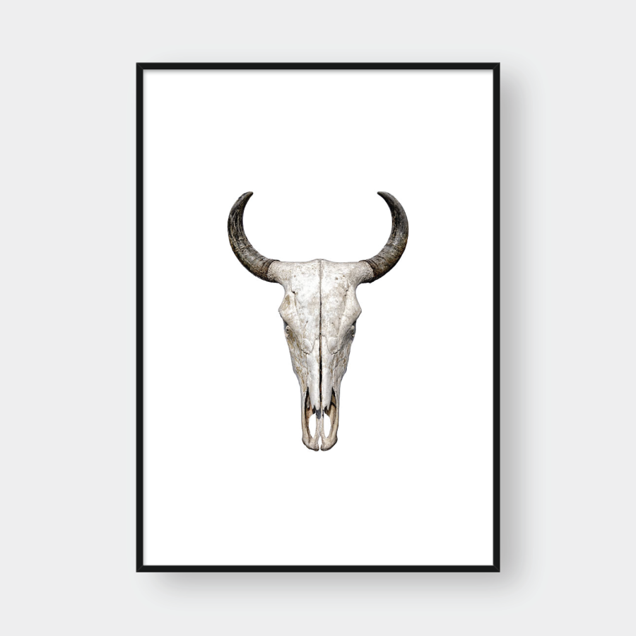  BULL SKULL 