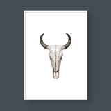  BULL SKULL 