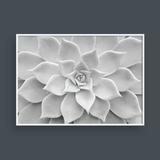  CACTUS NO.1 