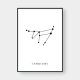  CAPRICORN 