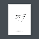  CAPRICORN 