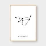  CAPRICORN 