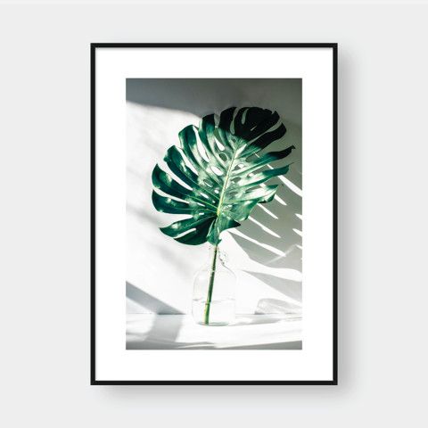  MONSTERA IN THE BOTTLE 
