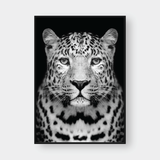  CHEETAH BLACK & WHITE 