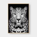  CHEETAH BLACK & WHITE 