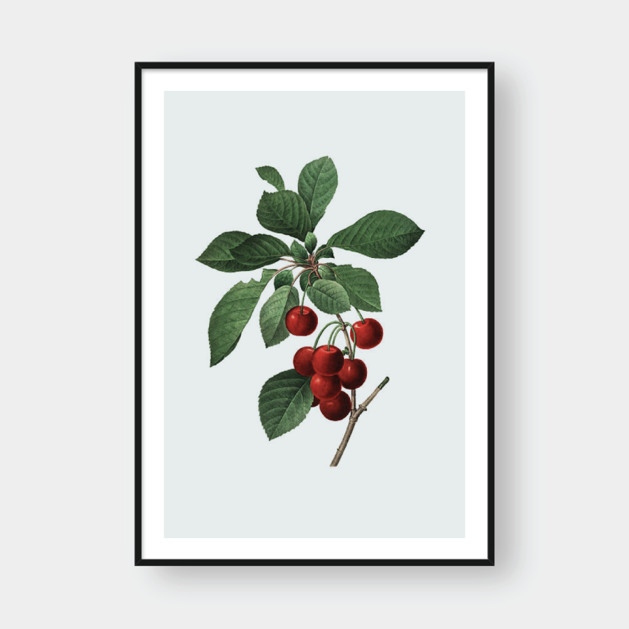  CHERRY NO.1 