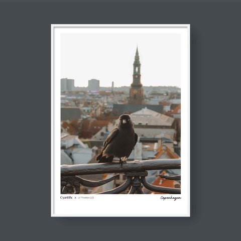  COPENHAGEN 