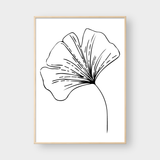  SKETCH FLOWER 