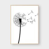  DANDELION NO.2 