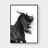  DARK HORSE 