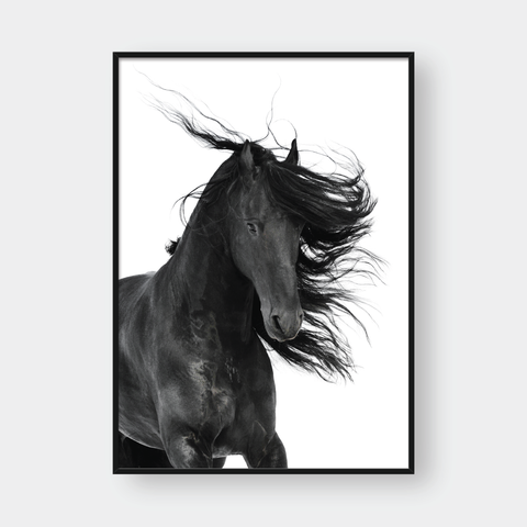  DARK HORSE 