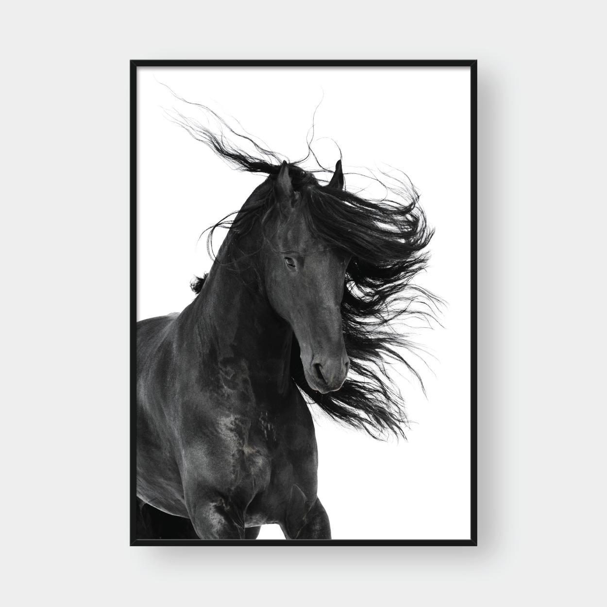  DARK HORSE 