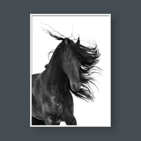  DARK HORSE 