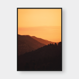  DAWN NO.2 
